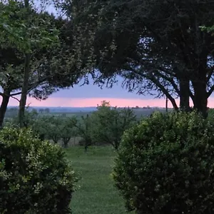 De Beausoleil Bed & Breakfast La Romieu